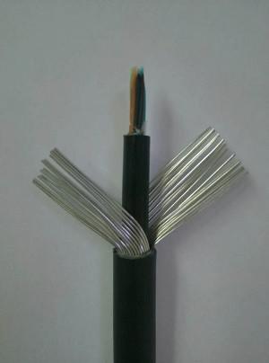 武邑防水防潮通信电缆HYAT与其他通信线缆的综合对比与应用指南